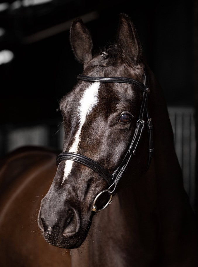 LeMieux Arika Cavesson Bridle