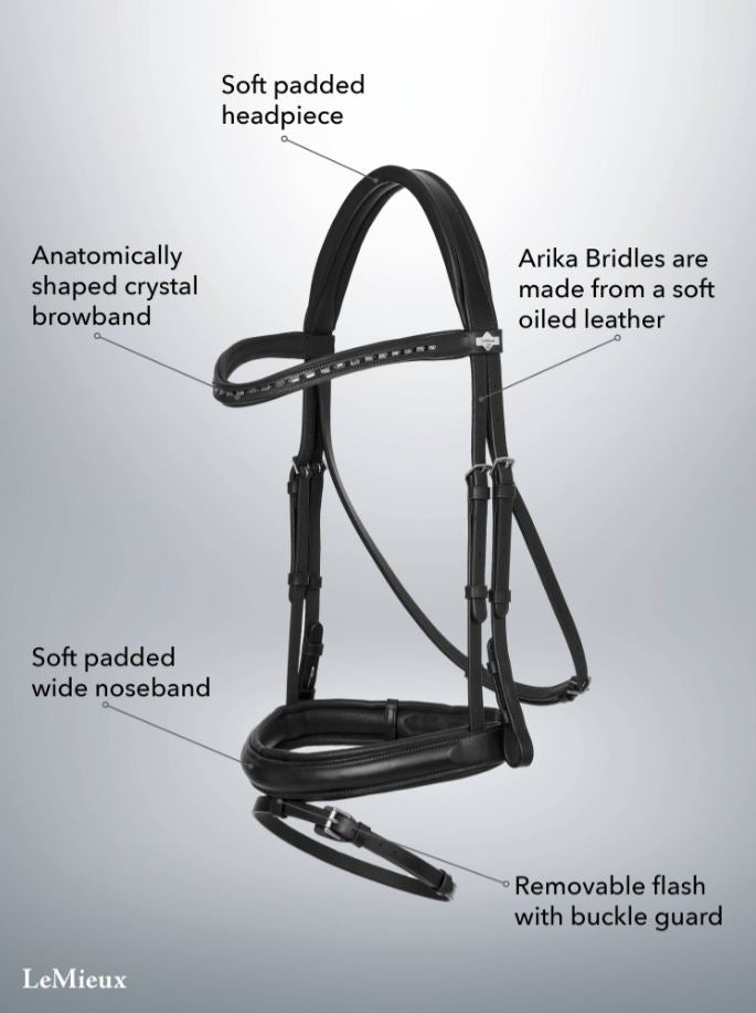 Arika Dressage Bridle