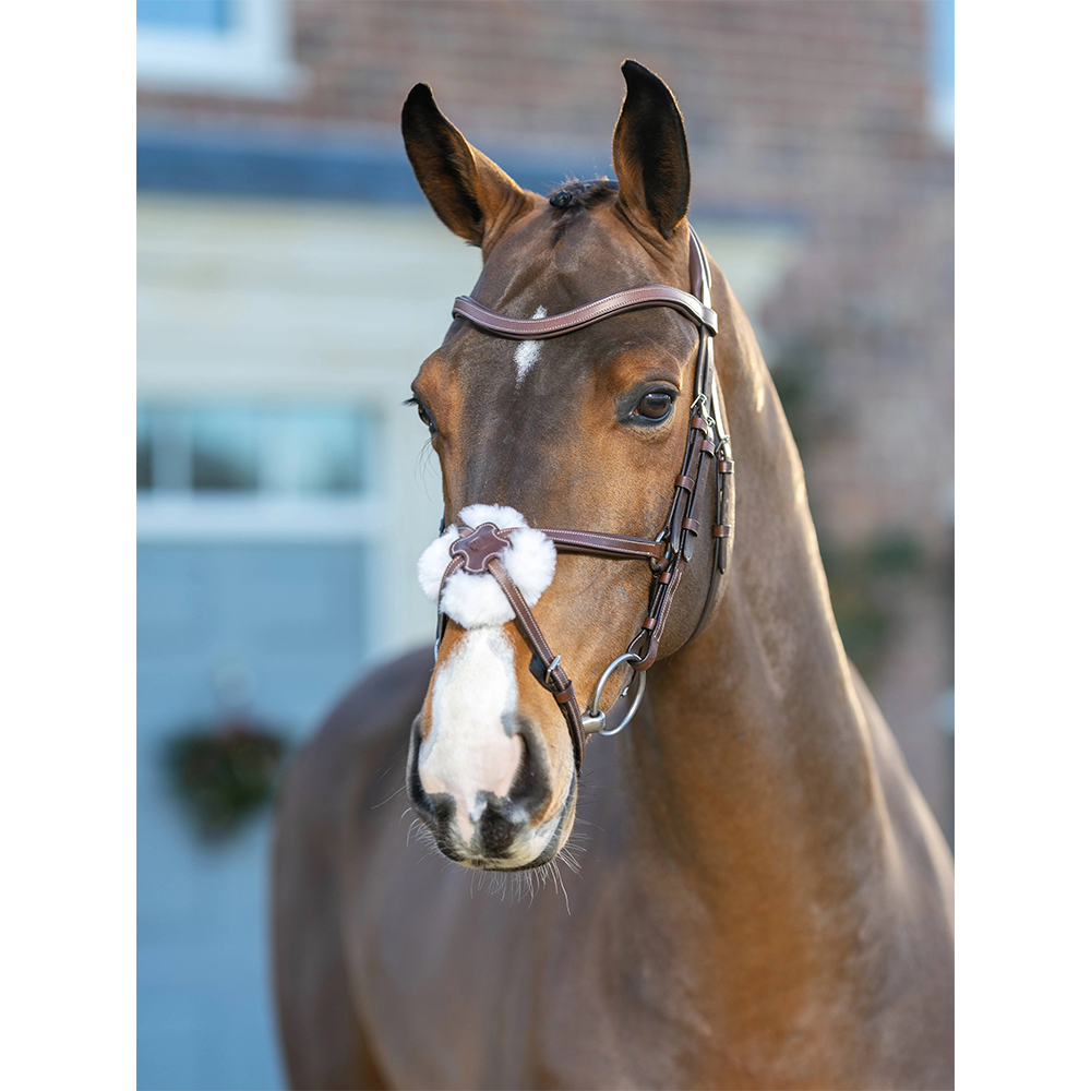 LeMieux Arika Grackle Bridle