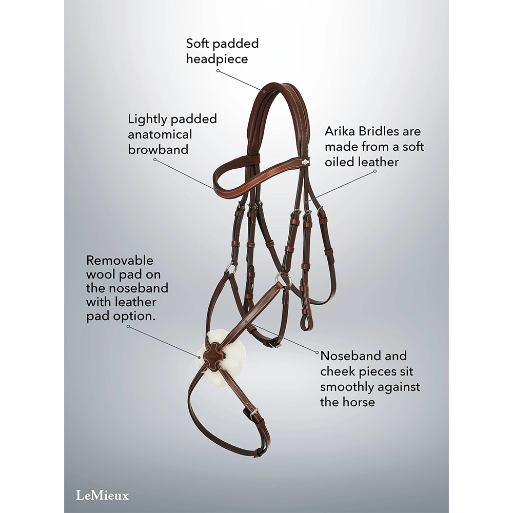 LeMieux Arika Grackle Bridle