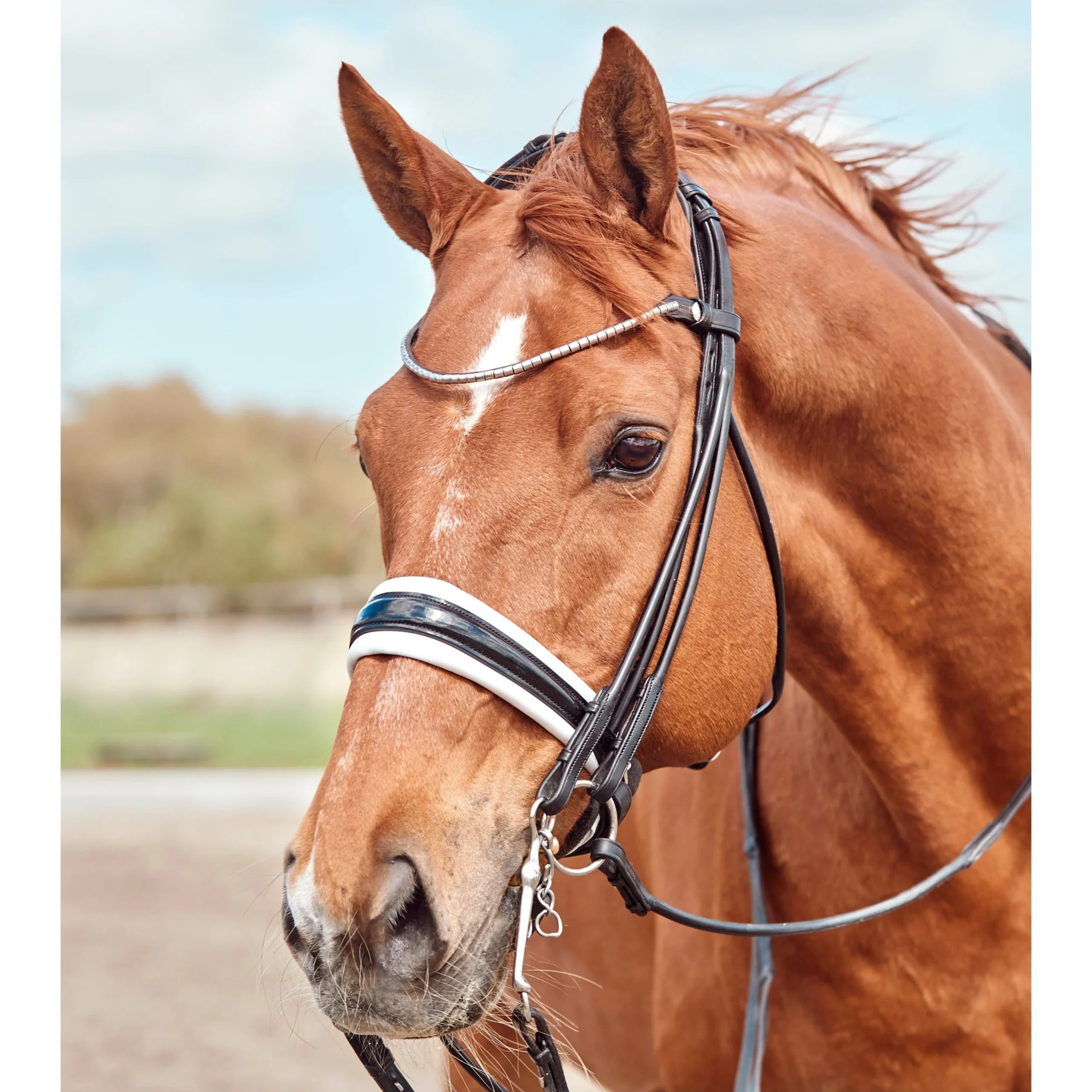 Finesse Cassidy Snaffle Bridle