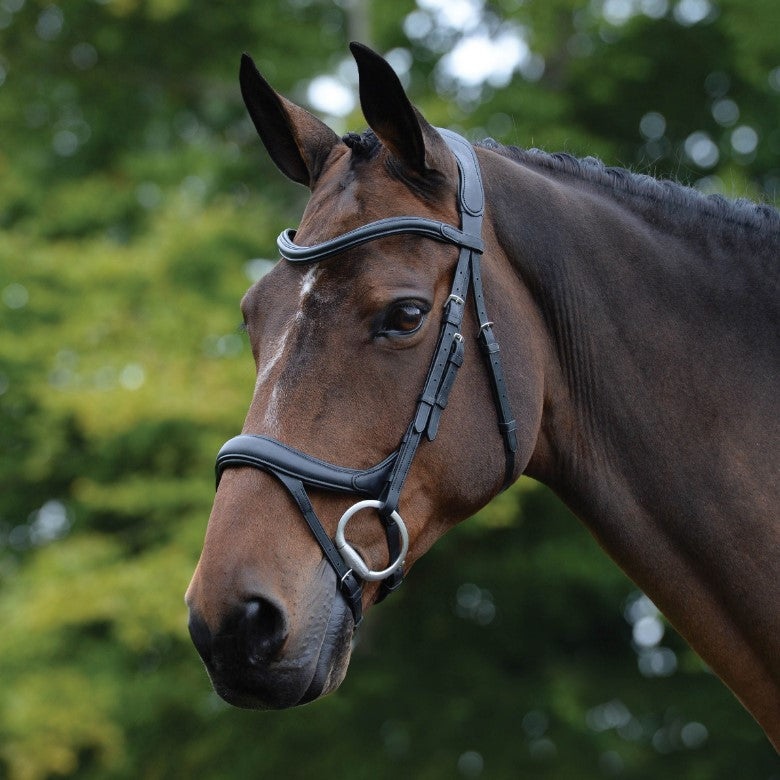 Collegiate ComfiTec Vogue Anatomical Bridle