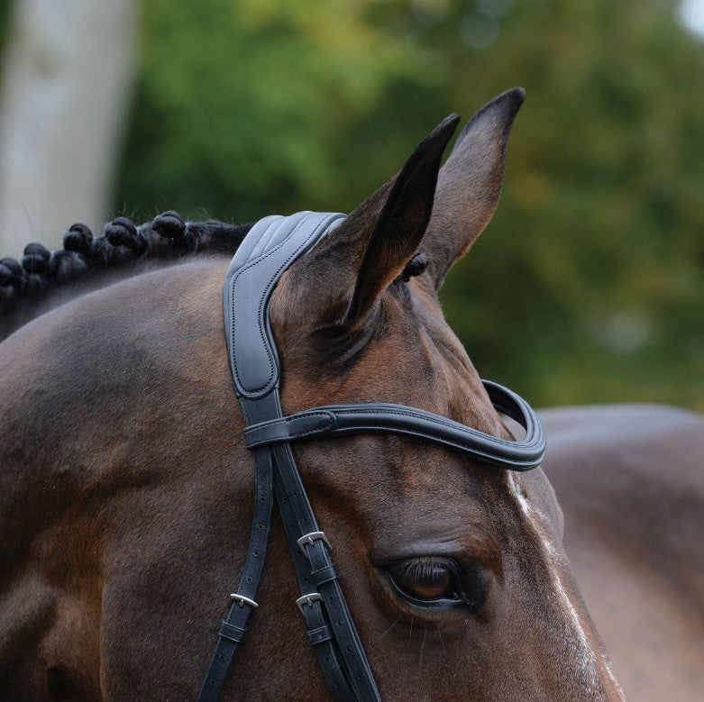 Collegiate ComfiTec Vogue Anatomical Bridle