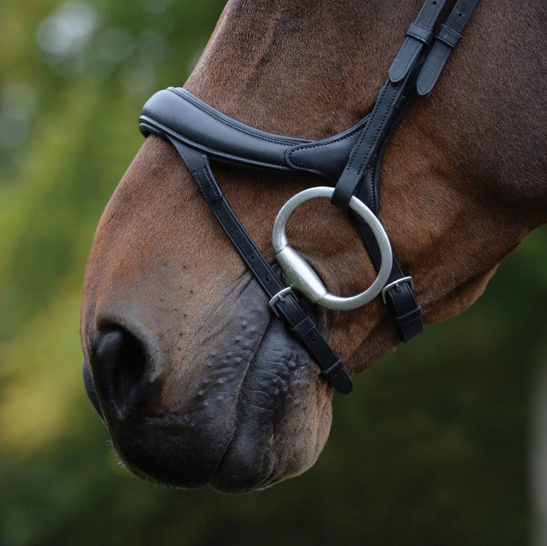 Collegiate ComfiTec Vogue Anatomical Bridle