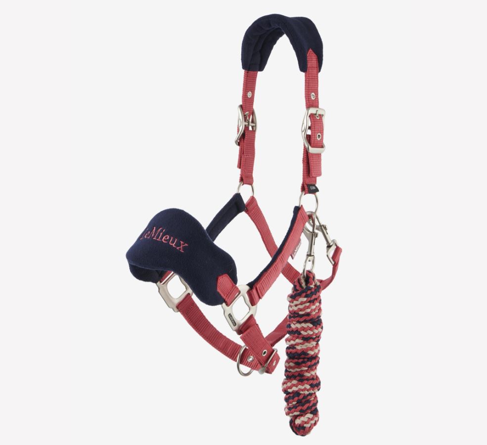 LeMieux Mini Vogue Headcollar Set
