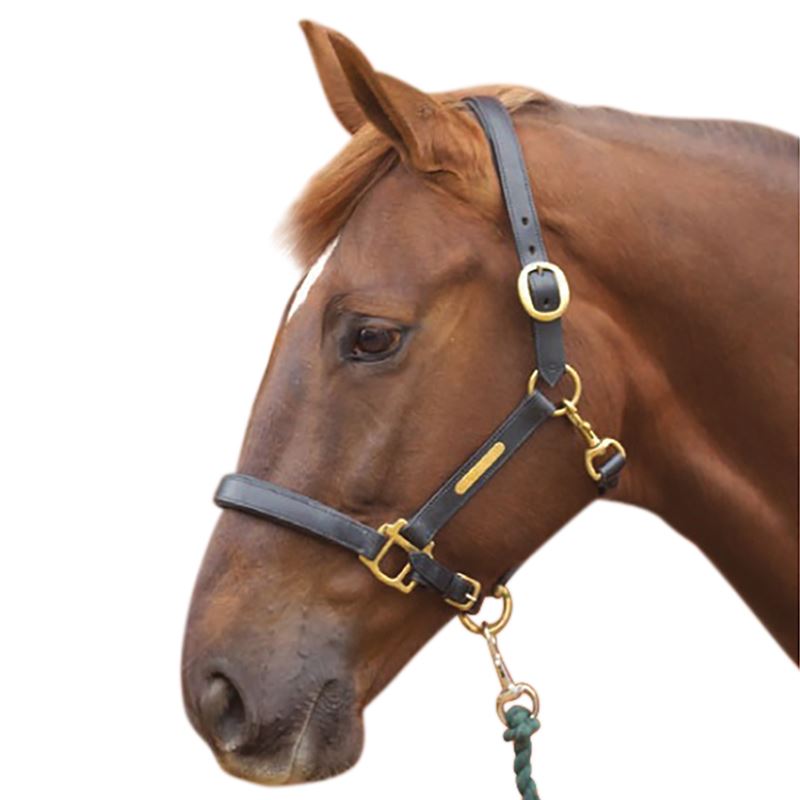 HY Leather Headcollar