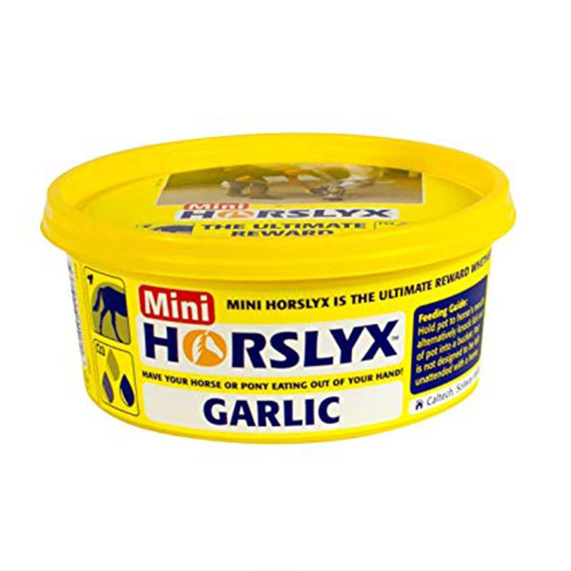 Mini Horslyx 650g Lick