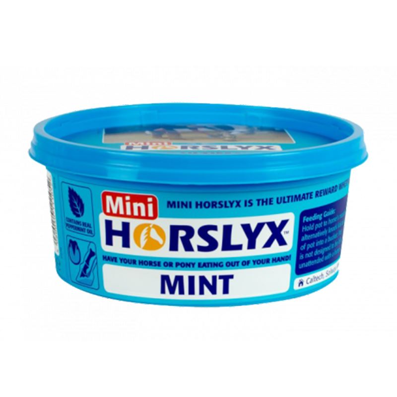 Mini Horslyx 650g Lick