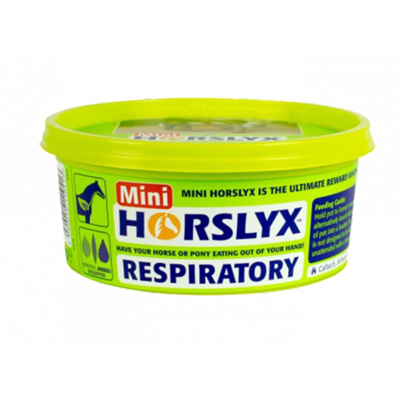 Mini Horslyx 650g Lick