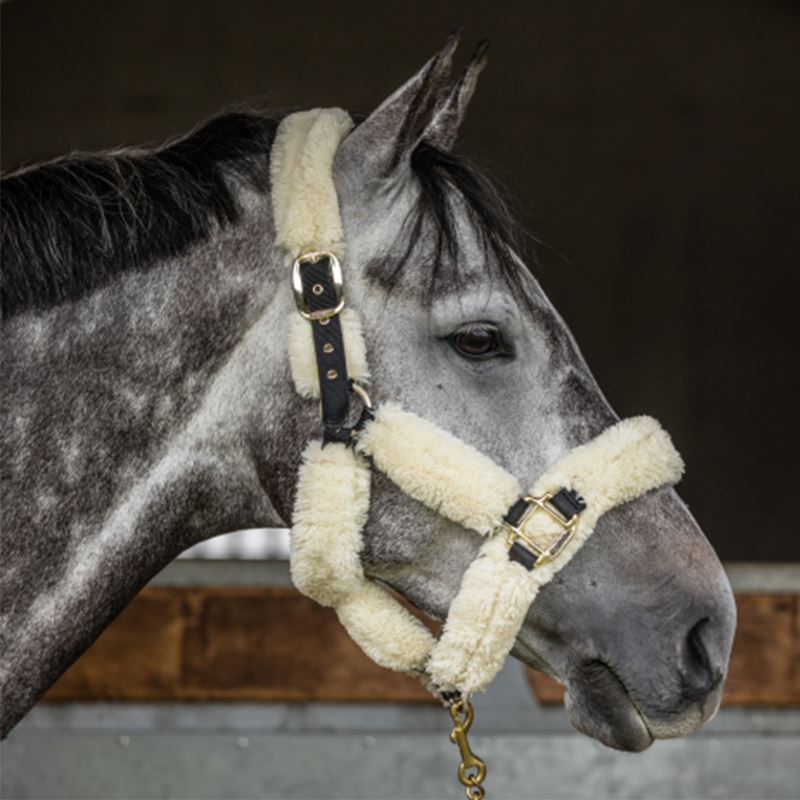 Kentucky Sheepskin Headcollar