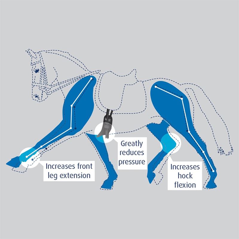 Prolite Short Girth - Standard