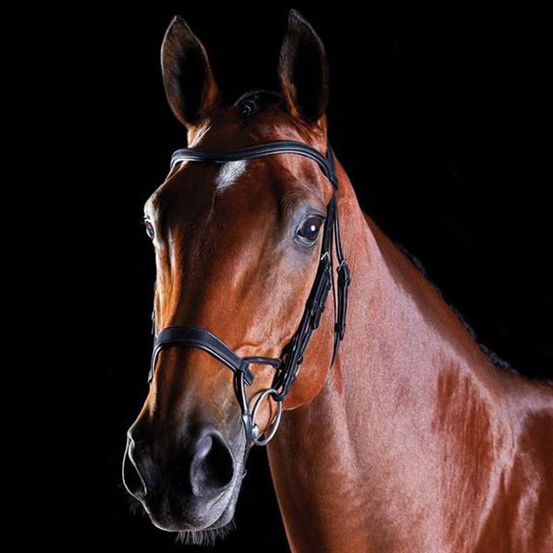Collegiate ComfiTec Training Bridle - Plain