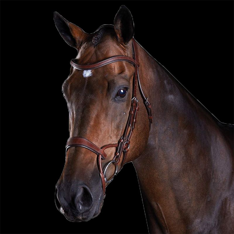 Collegiate ComfiTec Training Bridle - Plain