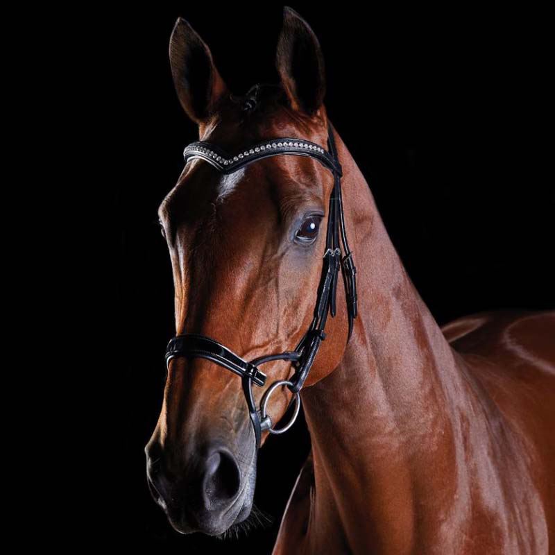 Collegiate ComfiTec Training Bridle - Crystal/Patent