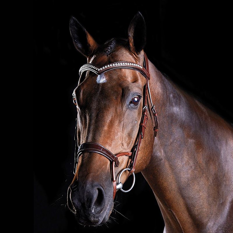 Collegiate ComfiTec Training Bridle - Crystal/Patent