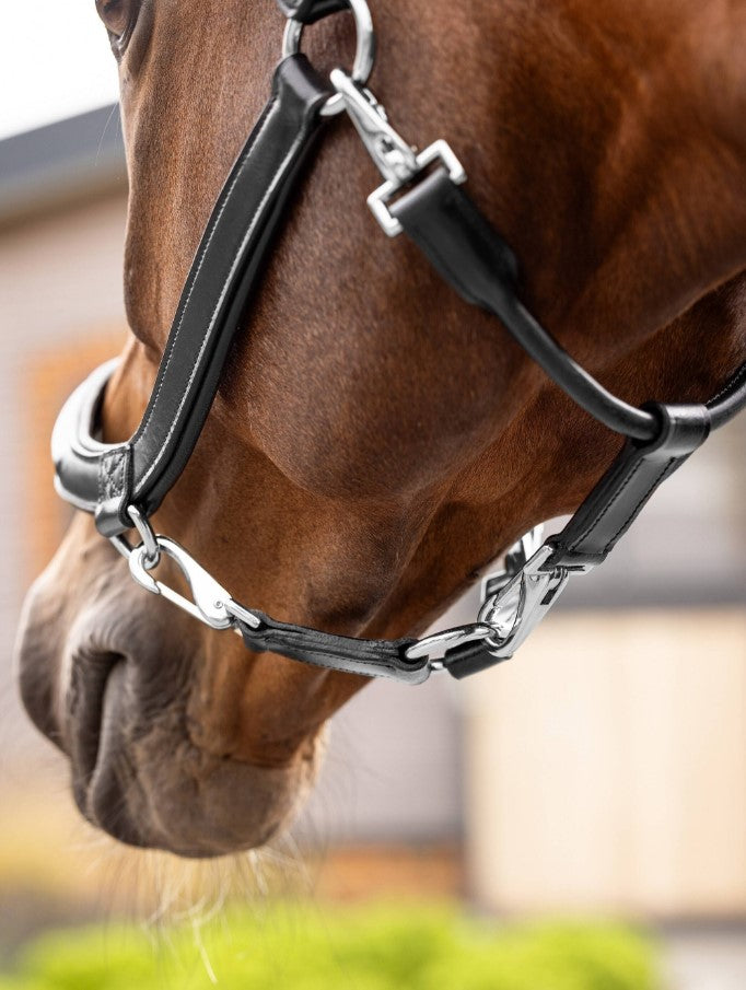 LeMieux Leather Grooming Headcollar