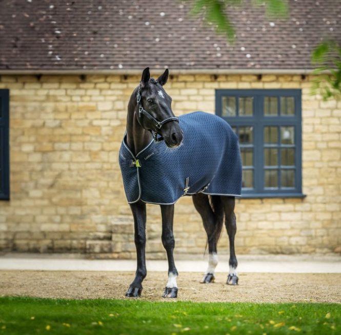 LeMieux Kudos 3D Mesh Travel Rug