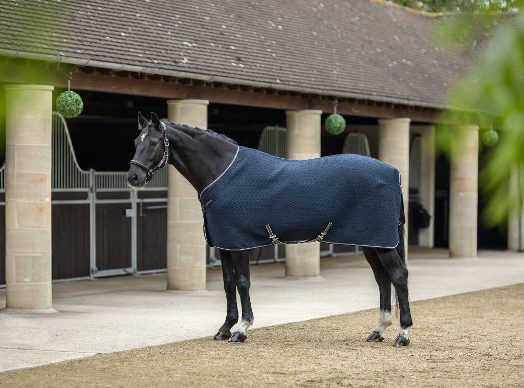 LeMieux Kudos 3D Mesh Travel Rug