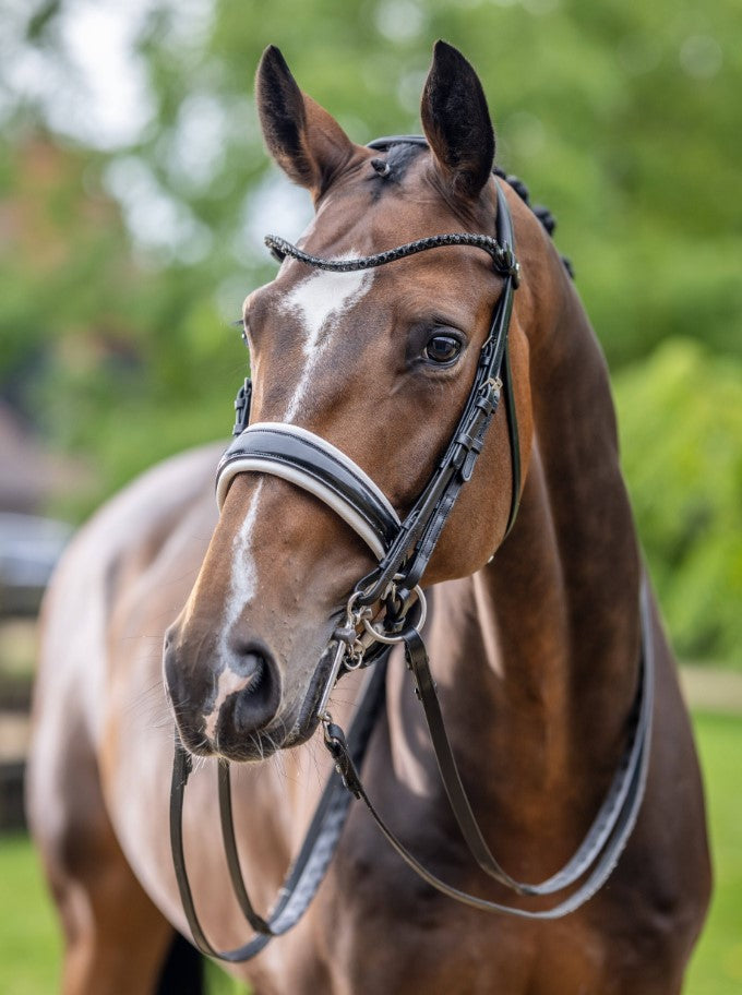 LeMieux Kudos Double Bridle