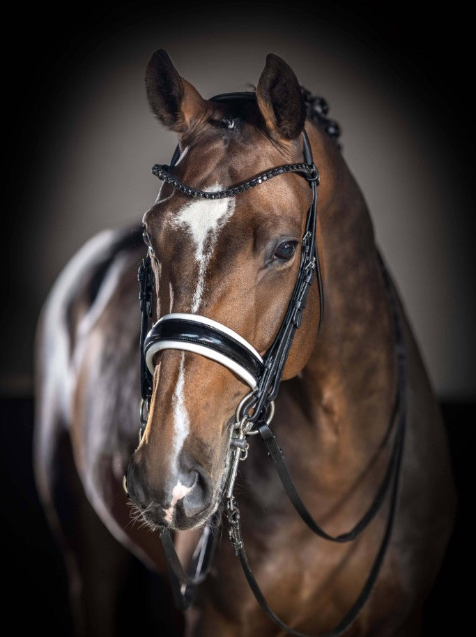 LeMieux Kudos Double Bridle