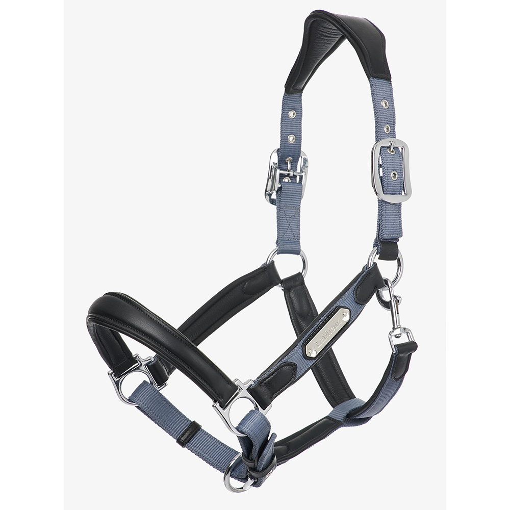LeMieux Capella Headcollar