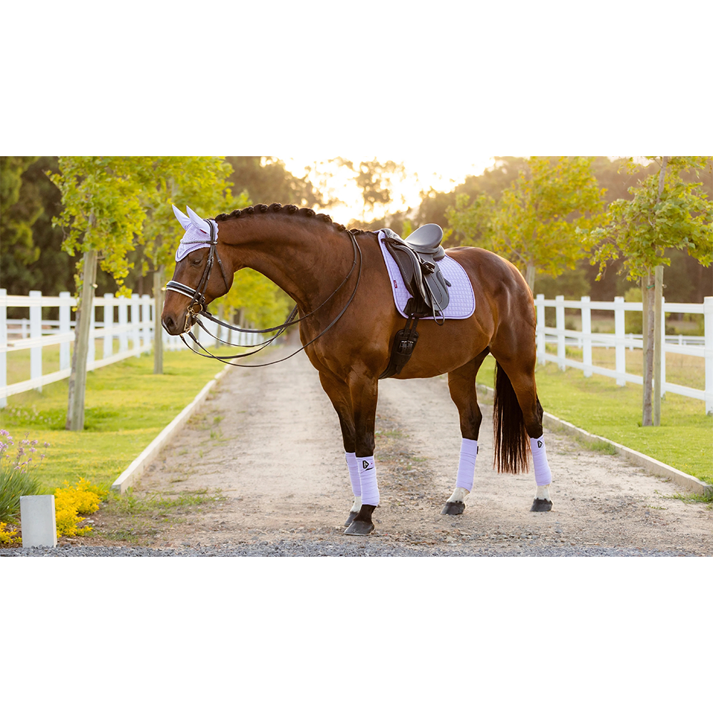 LeMieux Classic Polo Bandages