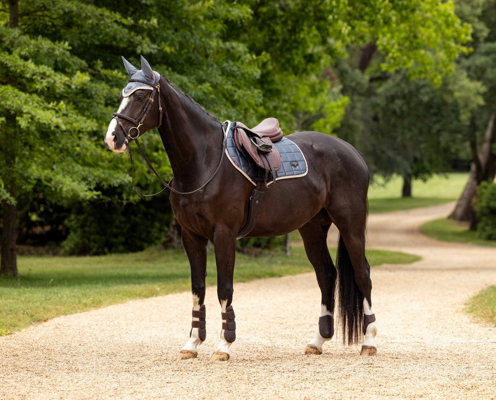 LeMieux Loire Pads - SS24