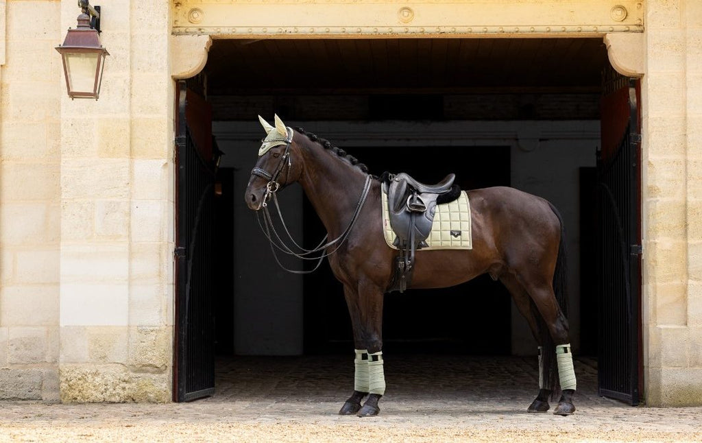 LeMieux Loire Pads - SS24