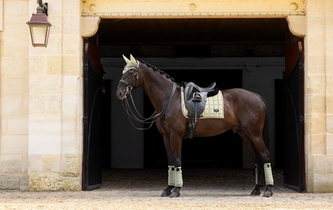 LeMieux Loire Pads - SS24