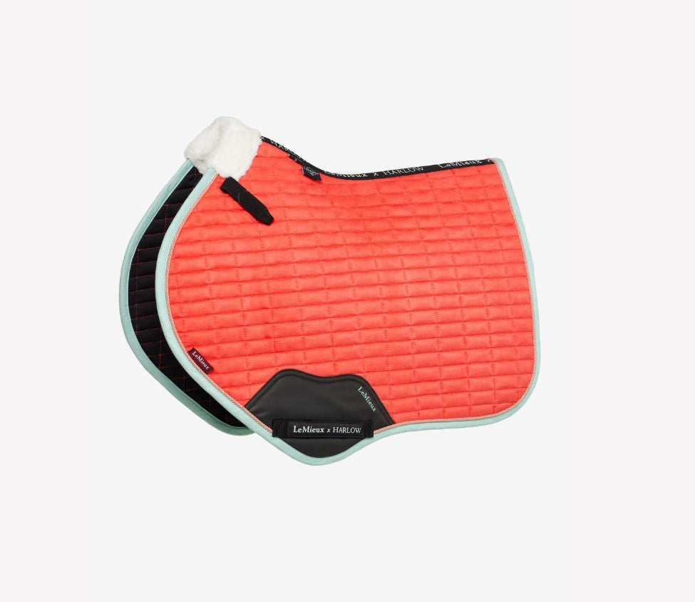 LeMieux Harlow Close Contact