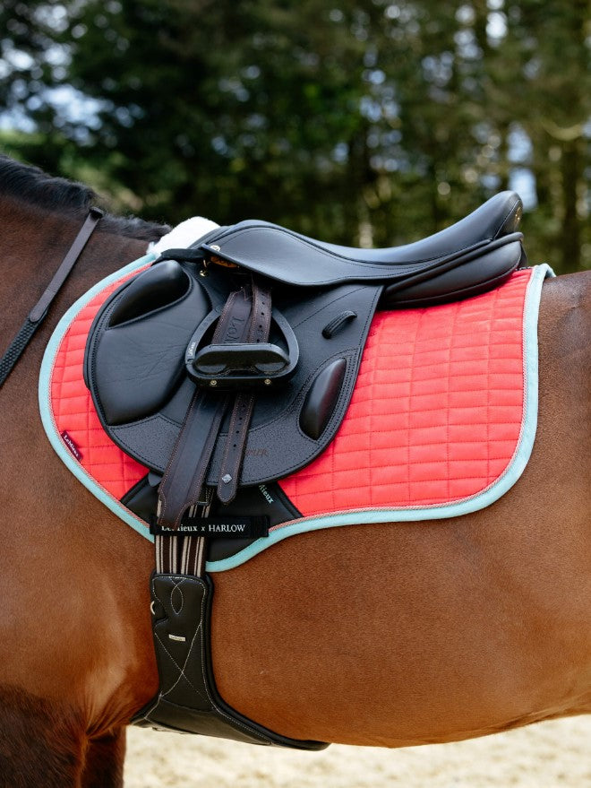 LeMieux Harlow Close Contact