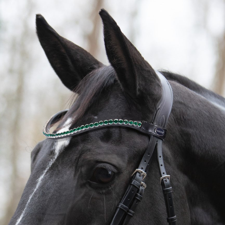 Passier Fantastic Snaffle Bridle