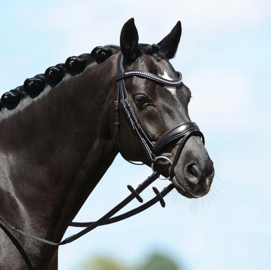 Passier Blu Spirit Snaffle Bridle