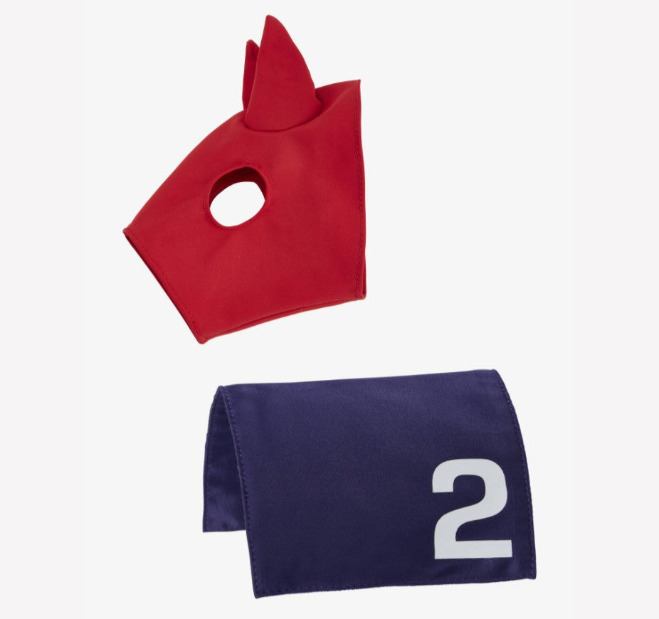 LeMieux Toy Pony Racing Cloth & Mask
