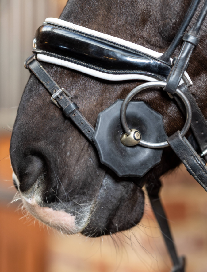 LeMieux Contoured Rubber Bit Guards