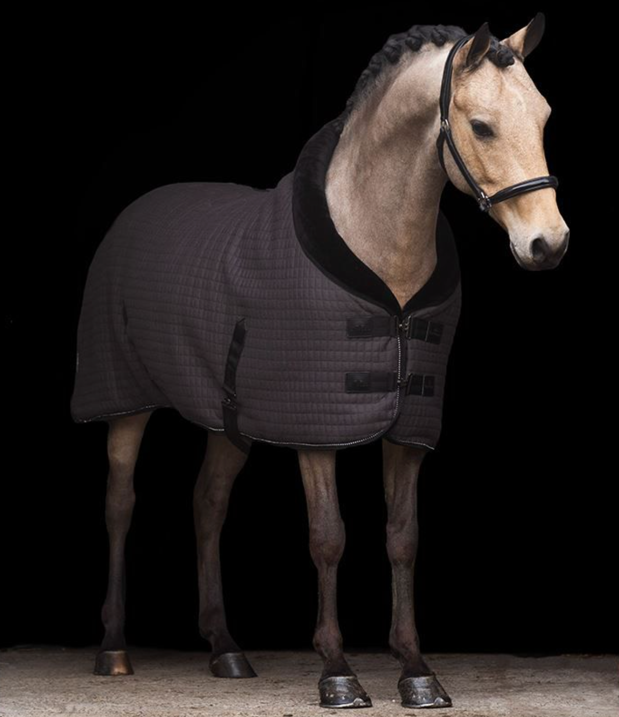 HV Polo Stable Rug - Franka