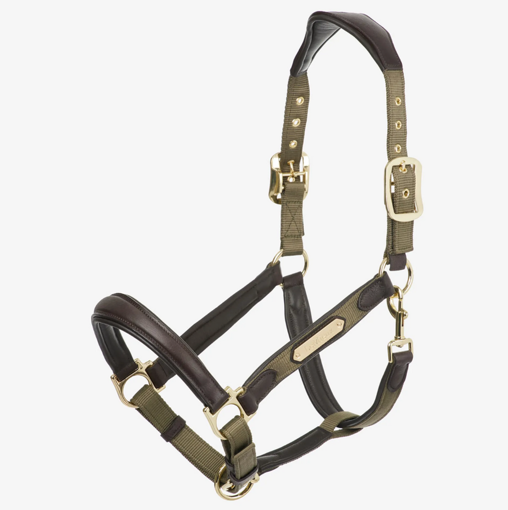 LeMieux Capella Headcollar