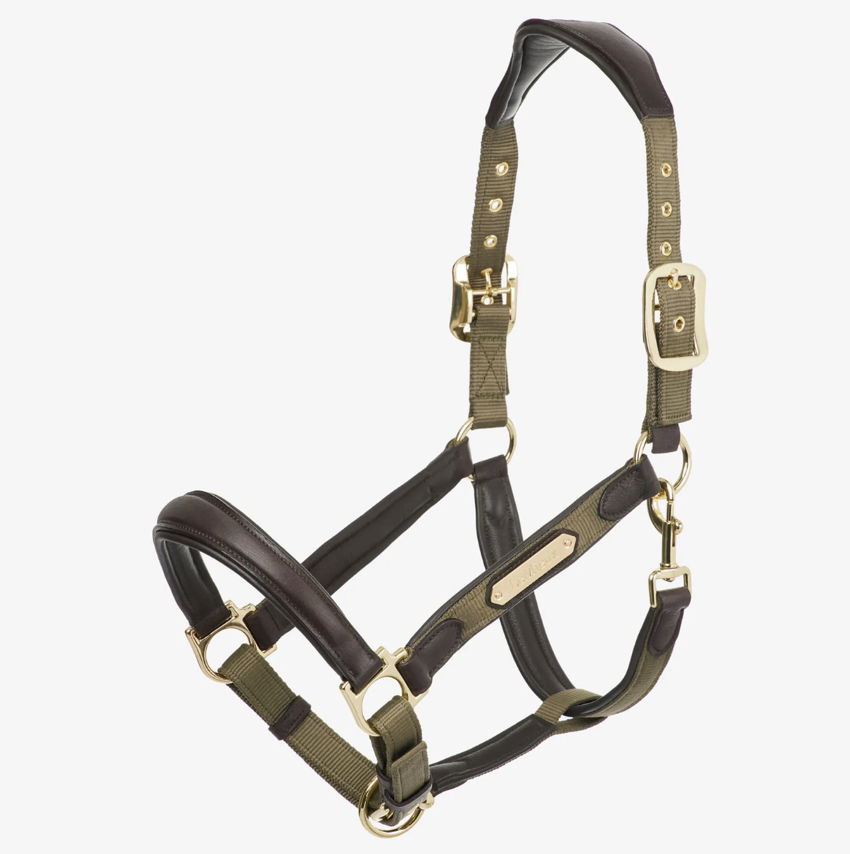 LeMieux Capella Headcollar
