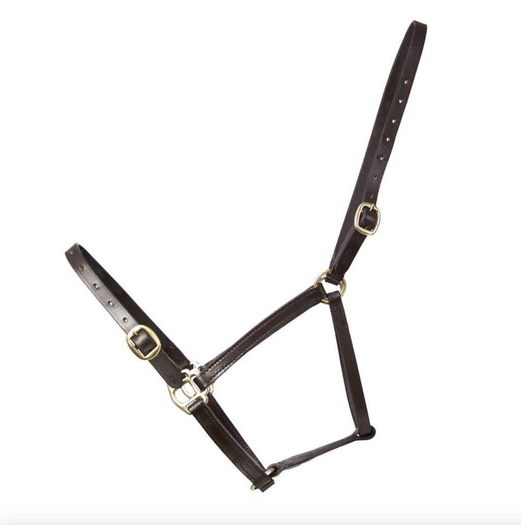 HY Leather Foal Headcollar