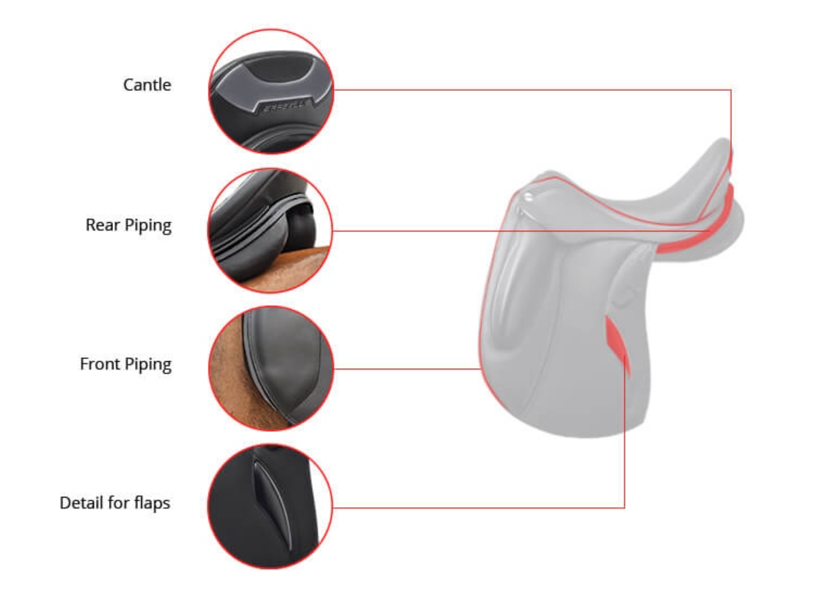 Erreplus Connect WR Dressage