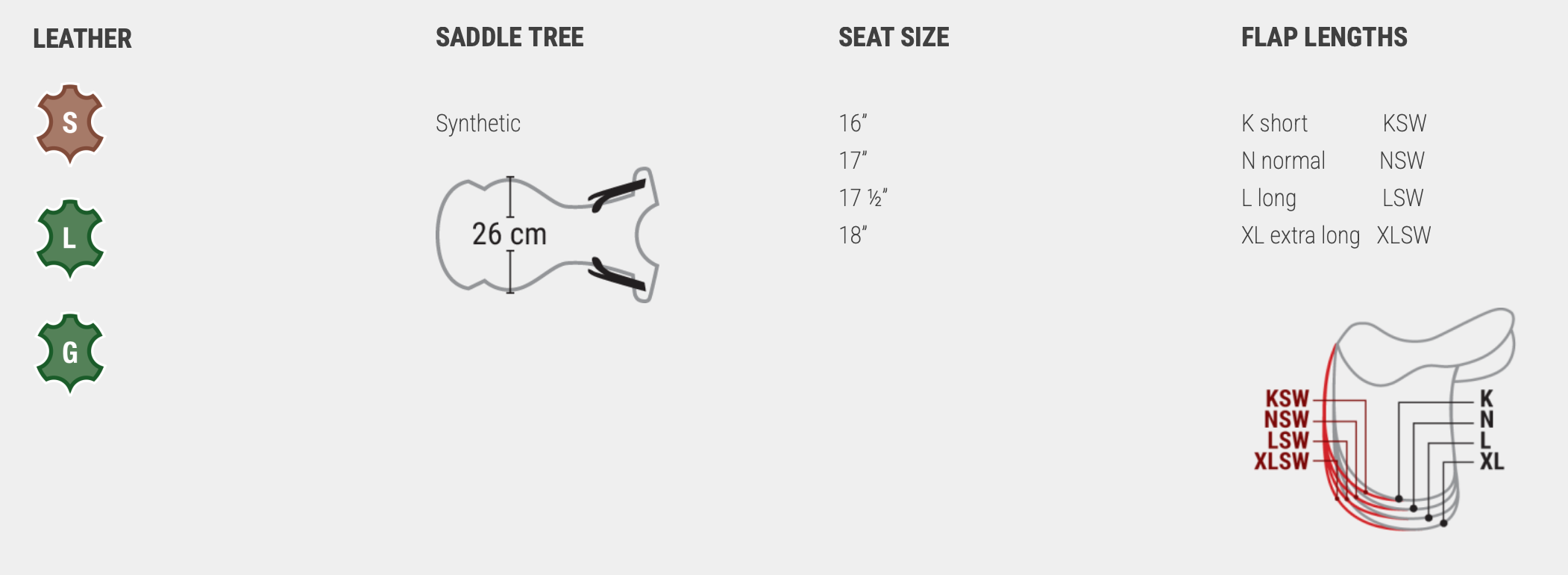 Amerigo Vega Dressage Special