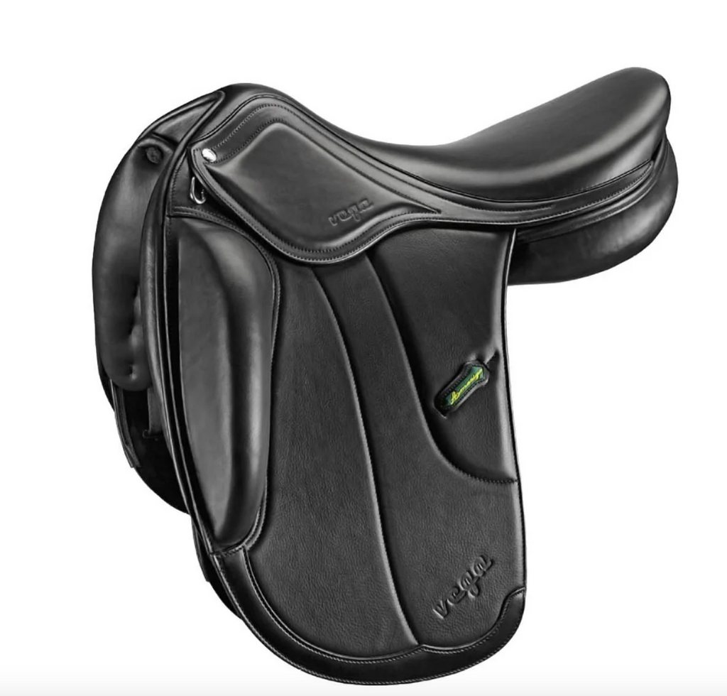 Amerigo Vega Dressage Special