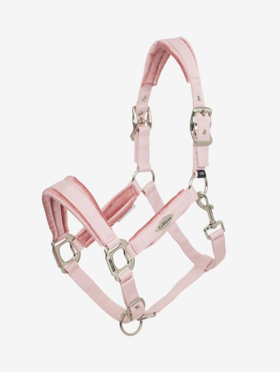 Versailles Headcollar