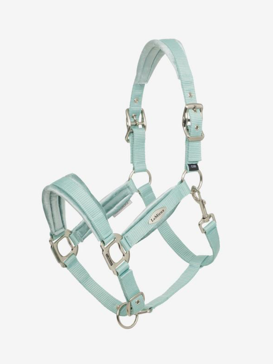 Versailles Headcollar