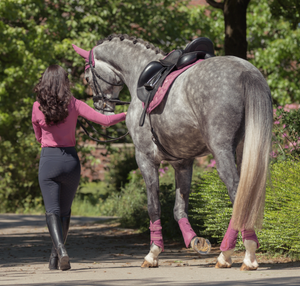 Eskadron - Glam Crystal Saddle Cloth - Heritage 25/26