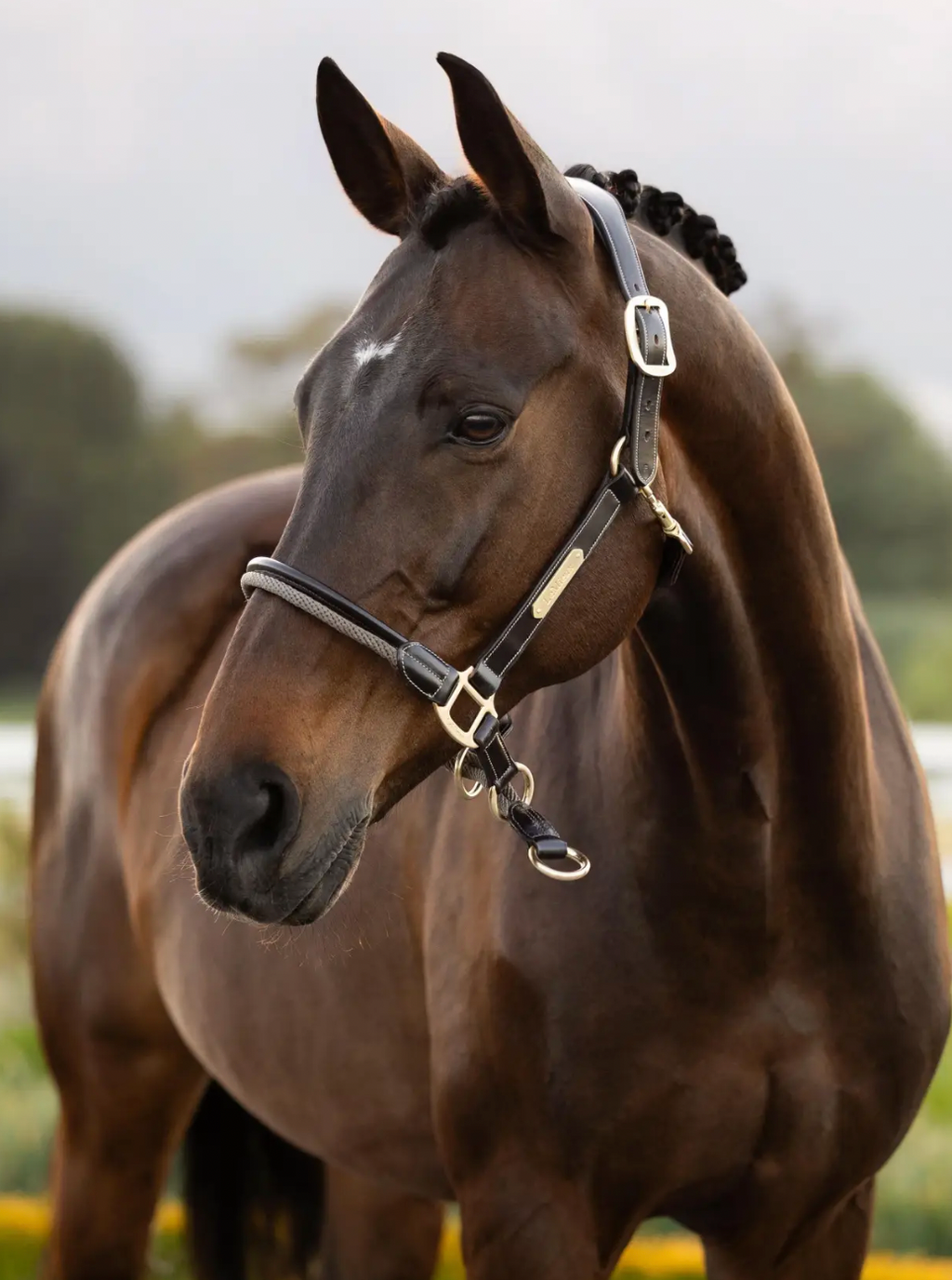 LeMieux - Rope Control Headcollar
