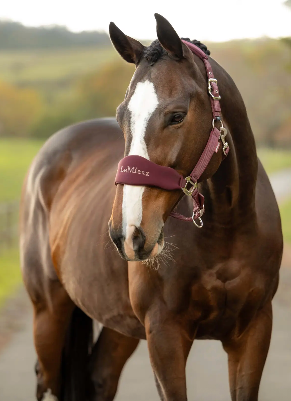 LeMieux - Breakaway Vogue Headcollar & Leadrope AW26