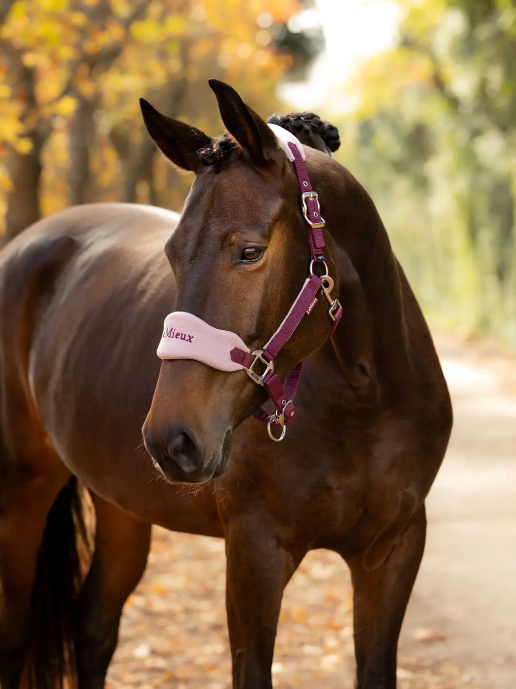 LeMieux - Vogue Headcollar & Leadrope AW26