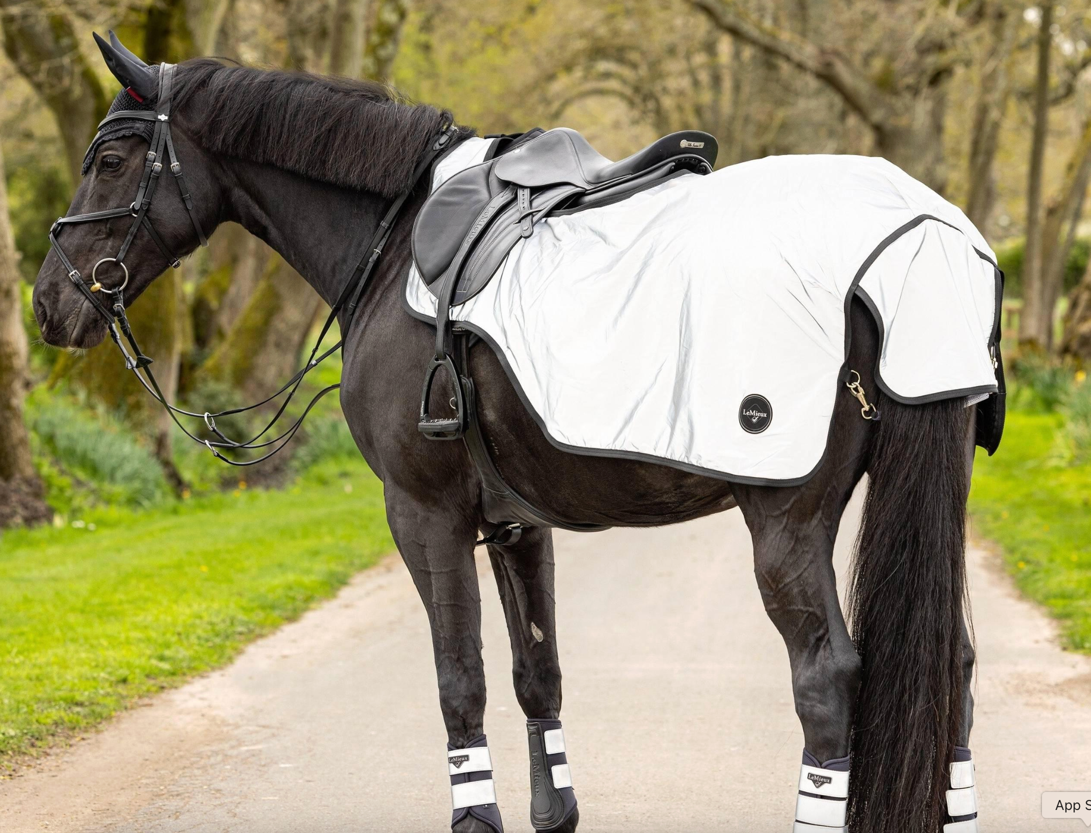 LeMieux - Reflective Exercise Sheet Silver