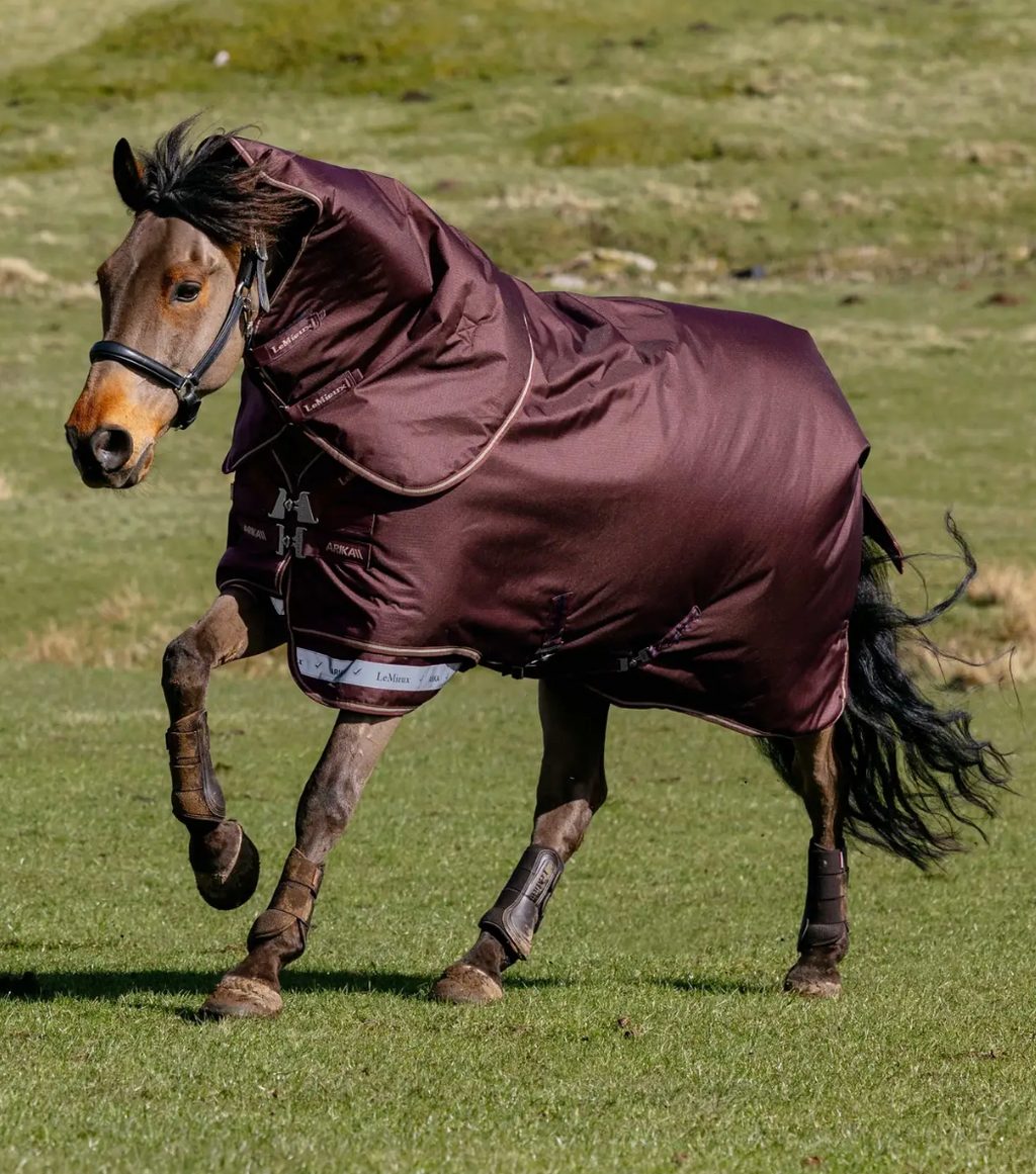 LeMieux - Arika Ripstop 100g Turnout Rug